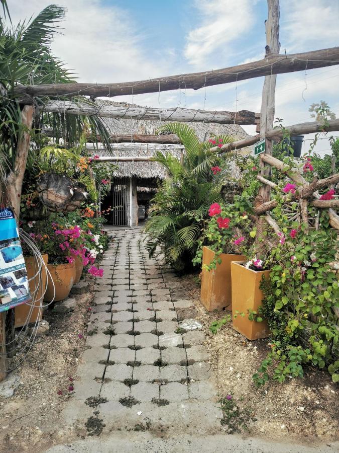 Ponylandia Campestre Campsite