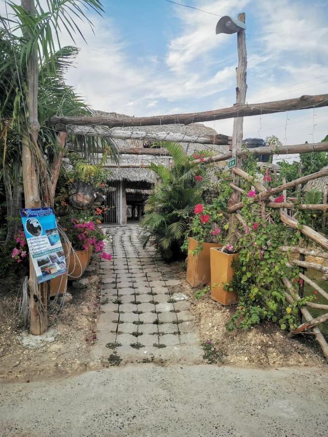 Ponylandia Campestre Campsite Cartagena