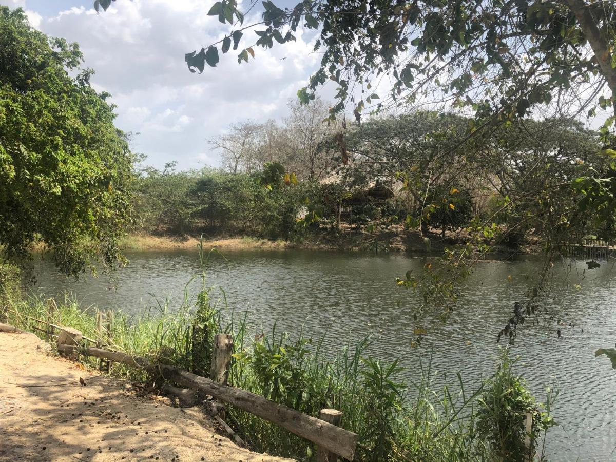 Ponylandia Campestre Campsite Cartagena
